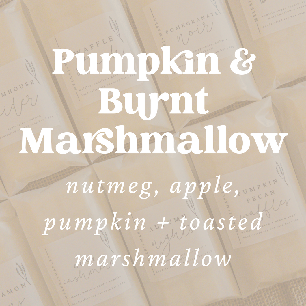 Pumpkin & Burnt Marshmallow Scented Snap Bar