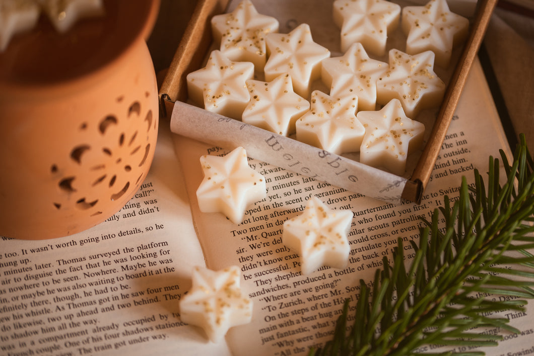 Starry Night - A Box of Christmas Star Wax Melts